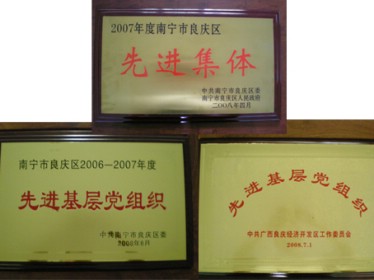 良慶區(qū)政府授予我公司及黨支部多項(xiàng)榮譽(yù)稱號(hào)